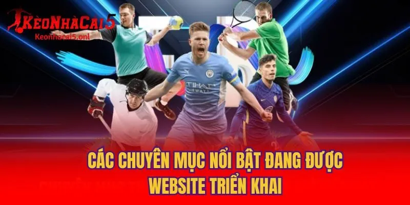 Các chuyên mục nổi bật đang được website triển khai